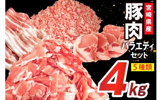 豚肉 詰め合わせ 宮崎県産豚肉 バラエティ セット 5種 4kg [南九フーズ 宮崎県 日向市 452061516] トンカツ とんかつ バラ 切り落とし しゃぶしゃぶ ロース スライス 豚こま 小間切れ ミンチ ひき肉