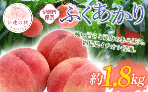 【2026年出荷分先行予約】福島県産 ふくあかり 約1.8kg (6～12玉) あかい果樹園 伊達の桃 桃 フルーツ 果物 もも モモ momo F20C-505