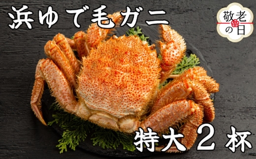 52-17 【敬老ギフト】流氷明け浜ゆで毛ガニ　特大2杯