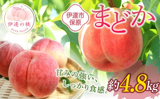 【2026年出荷分先行予約】福島県産 まどか 約4.8kg (12～18玉) あかい果樹園 大玉 固め 伊達の桃 桃 フルーツ 果物 もも モモ momo F20C-899