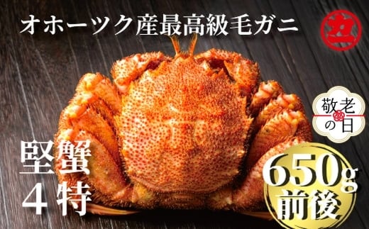 24-109 【敬老ギフト】北海道産ボイル毛がに【四特】 大ｻｲｽﾞ1尾入り（1尾約650ｇ前後）