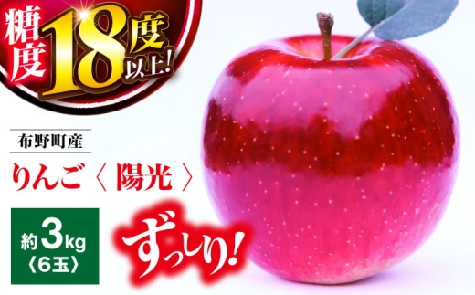 [先行予約][10月中旬から11月上旬順次発送] リンゴ 布野町産 りんご ( 陽光 ) 6個セット 期間限定 フルーツ 果物 林檎 希少 三次市 / フルーツランドふの [APDD001]
