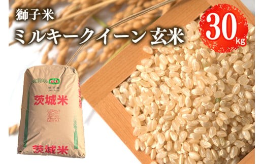 【令和7年産】獅子米 ミルキークイーン 玄米 30kg お米 米 おこめ ブランド米 ミルキー 30キロ 国産 単一原料米 コメ こめ ご飯 銘柄米 茨城県産 茨城 産直 産地直送 農家直送 ごはん 家庭用 贈答用 お取り寄せ ギフト 茨城県 石岡市 (B02-008)