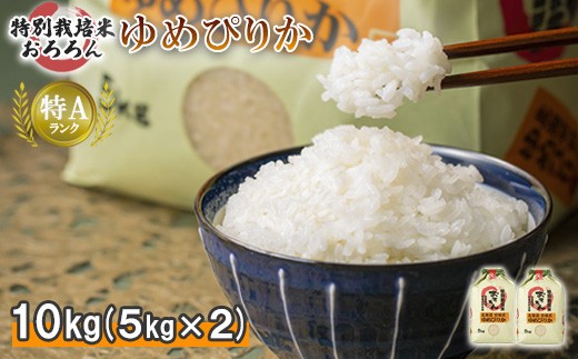 すぐ届く! ※数量限定※【2024年産】 北海道羽幌産 特別栽培米 ゆめぴりか10kg (5kg×2セット)