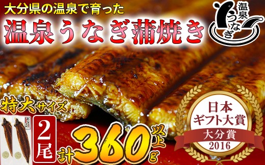 「源泉かけ流し軟水温泉」で育った自慢の鰻です