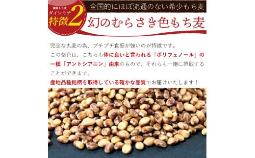 香川県善通寺市産「讃岐もち麦ダイシモチ」の大きな特徴である紫色は、「ポリフェノール」の一種「アントシアニン」由来のものです。