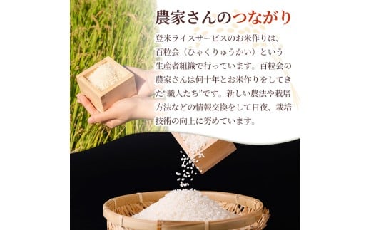 宮城県登米市のふるさと納税 ＜先行予約！2025年10月以降順次発送予定＞≪令和7年産 新米≫ ひとめぼれ 5kg (5kg×1袋) 登米市産 お米 おこめ 米 コメ 白米 ご飯 ごはん おにぎり お弁当 【登米ライスサービス株式会社】tm146