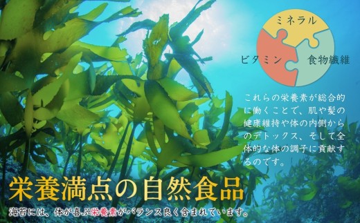 黒のり 訳あり 45枚 (15枚×3パック) 全形 ｜ 訳アリ 乾海苔 小分け 国産 海苔 ノリ キズのり 福島 南相馬