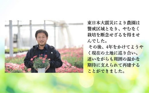 【先行予約】 アジサイ ブレスレット (ブルー系) 5号鉢 | 花 お花 あじさい 紫陽花 ブルー 青 5号 花ギフト