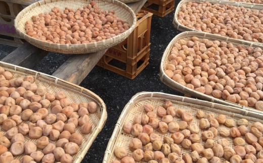 国産小粒梅干し 計900g（180g×5P）