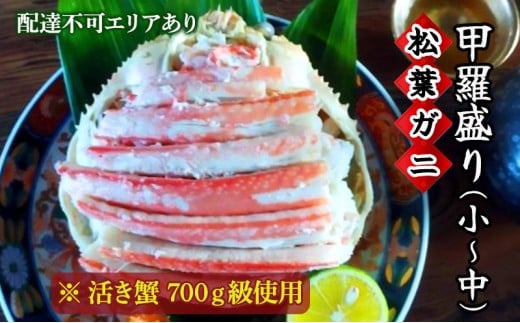 松葉蟹 ほぐし身（小～中）活き蟹 700g級使用 甲羅盛り 〈11月中旬～2026年3月末発送〉 蟹 カニ かに 松葉蟹 松葉ガニ ズワイガニ 剥き身 殻なし[№5716-0294]