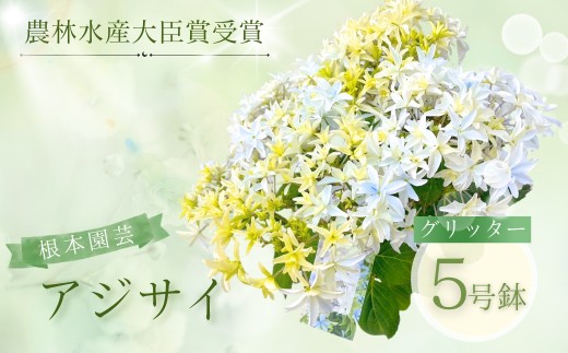 [先行予約]アジサイ グリッター 5号鉢 | 花 お花 あじさい 紫陽花 ホワイト 白 5号 花ギフト フラワーギフト 鉢花 鉢植え ギフト プレゼント 贈答 農林水産大臣賞受賞 根本園芸