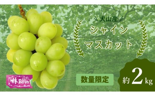 25-15_【期間限定・数量限定】犬山産 シャインマスカット 約2キロ ｜ ぶどう 甘い 2キロ 限定 夏 林ファーム 房 ブドウ 中玉 犬山 ご自宅用 贈答 贈り物 プレゼント ご褒美 小粒 シャインマスカット 種なし 皮ごと 2244660 - 愛知県犬山市