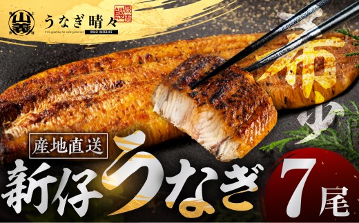 山義養魚の『うなぎ晴々』 大容量!7尾 希少 豊橋うなぎ 蒲焼 厳選 国産 新仔うなぎ 若うなぎ 鰻 簡易包装 ウナギ うなぎ 鰻 蒲焼 ギフト ひつまぶし 土用丑の日 ギフト 冷凍 丑の日 簡単調理 豊橋うなぎ お取り寄せ 送料無料