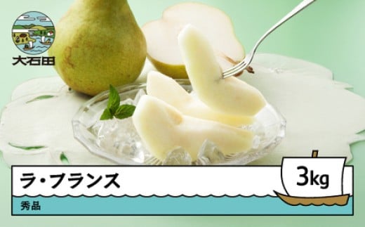 ラ・フランス 3kg 秀品 洋梨 なし ラフランス フルーツ 果物 2025年産 令和7年産 山形県産 ns-laxxx3
