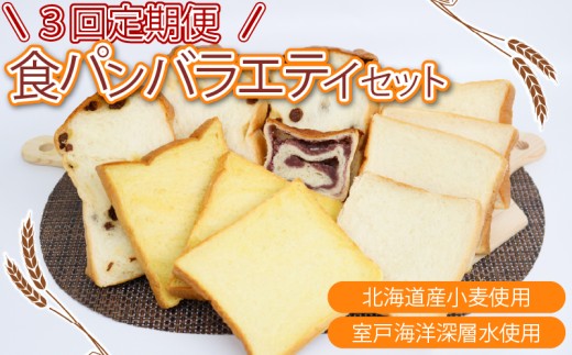 3回定期便 食パンバラエティセット【室戸海洋深層水仕込み】4斤×3回 食パン ぱん 朝食 ギフト 定期便 人気 食事パン おやつ レーズン ぶどう ドライフルーツ かぼちゃ あんこ セット バラエティ 頒布会