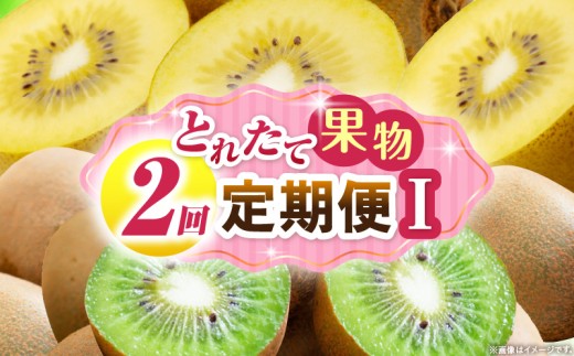 とれたて果物 2回定期便I 果物 フルーツ 果物定期便 フルーツ定期便 定期便キウイ濃厚 旬の果物 定期 人気 おすすめ 贈答 贈り物 青果物 糖度 香川県 _mk165-t059 2246242 - 香川県三木町