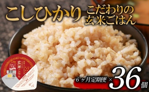 定期便 6回 こしひかり 玄米ごはんパック 120g 36個 玄米 米 お米 ごはん ご飯 こめ パックライス パックご飯 パックごはん ご飯パック ごはんパック パック ライス 備蓄 保存 非常 防災 電子 レンジ 温めるだけ レンチン 簡単 健康 ダイエット 美容 ヘルシー 36 36食 レトルト インスタント おいしい 人気 おすすめ 大阪 松原 2261659 - 大阪府松原市