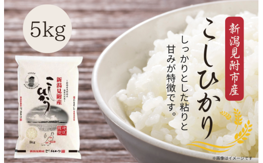 新潟見附市産コシヒカリ5kg 2261814 - 新潟県見附市