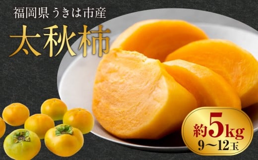 [先行予約] 西見柿農園 太秋柿 9玉から12玉 (約5kg) [2025年10月中旬から11月上旬 出荷予定] 完熟柿 柿 かき カキ 太秋 たいしゅう 大玉 完全甘柿 果物 くだもの フルーツ 果実 ジューシー 樹上完熟 お取り寄せ 福岡県 うきは市