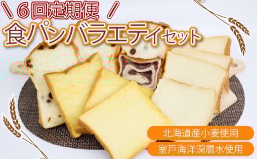 6回定期便 食パンバラエティセット【室戸海洋深層水仕込み】4斤×6回 食パン ぱん 朝食 ギフト 定期便 人気 食事パン おやつ レーズン ぶどう ドライフルーツ かぼちゃ あんこ セット バラエティ 頒布会