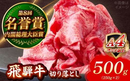 飛騨牛 切り落とし 500g (250g×2) 瑞浪市 / 肉のひぐち 国産 ブランド牛 和牛 [AZDE001]