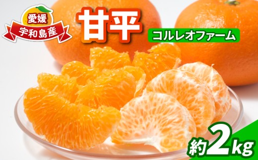 甘平 2kg コルレオファーム 愛媛みかん 甘い 平たい 高級 高級柑橘 希少 限定 品種 シャキシャキ 果物 くだもの 先行予約 mikan フルーツ 柑橘 かんきつ みかん ミカン 蜜柑 かんぺい お取り寄せ 産直 産地直送 数量限定 国産 愛媛 愛媛県 宇和島 B018-145022 2288180 - 愛媛県宇和島市