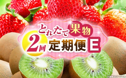 とれたて果物 2回定期便E 果物 フルーツ 果物定期便 フルーツ定期便 定期便 いちご キウイ濃厚 旬の果物 定期 人気 おすすめ 贈答 贈り物 青果物 糖度 香川県 _mk165-t055 2246238 - 香川県三木町