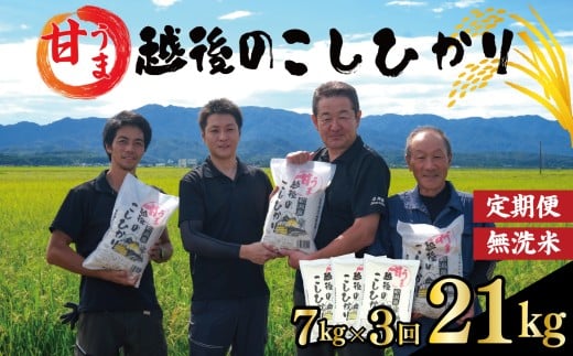 【定期便】コシヒカリ 無洗米 7kg 3ヵ月 21kg 令和7年産 甘うま越後の こしひかり 米 お米 こめ 新潟米 新潟県産 新潟産 新潟 新潟県 新発田産 新発田 新発田市 斗伸 toushin047