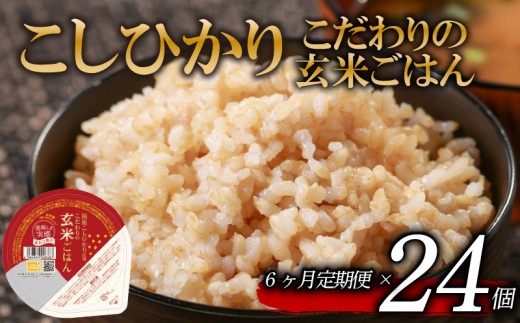定期便 6回 こしひかり 玄米ごはんパック 120g 24個 玄米 米 お米 ごはん ご飯 こめ パックライス パックご飯 パックごはん ご飯パック ごはんパック パック ライス 備蓄 保存 非常 防災 電子 レンジ 温めるだけ レンチン 簡単 健康 ダイエット 美容 ヘルシー 24 24食 レトルト インスタント おいしい 人気 おすすめ 大阪 松原 2261657 - 大阪府松原市