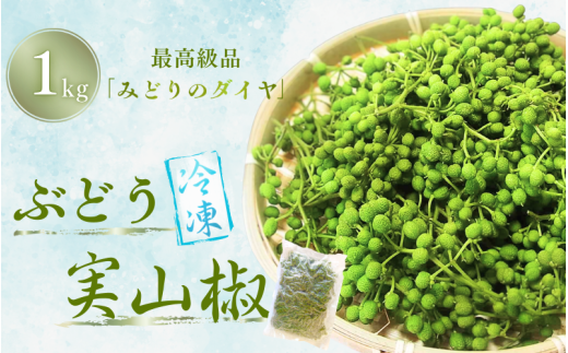  冷凍 ぶどう 生実山椒 1kg (1kg×1袋) / 山椒 さんしょう 香辛料 調味料 薬味 冷凍 ぶどう山椒 生山椒 和歌山県 紀美野町 生実山椒【twn025】 2259955 - 和歌山県紀美野町