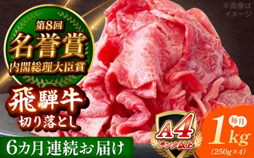【6回定期便】 飛騨牛 切り落とし 1kg (250g×4) 瑞浪市 / 肉のひぐち [AZDE019] 2243445 - 岐阜県瑞浪市