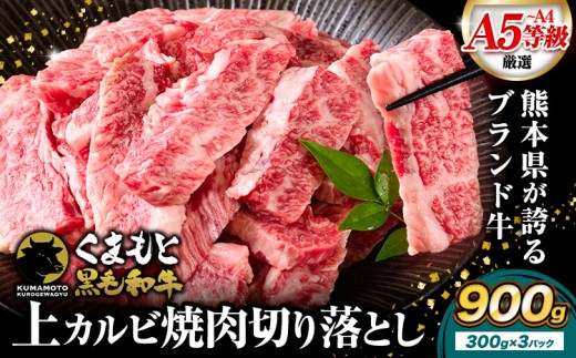 A4-A5等級 黒毛和牛 切り落とし 上 カルビ 焼肉 切り落とし 900g《7-14日以内に出荷予定(土日祝除く)》くまもと黒毛和牛 熊本県 苓北町 上カルビ 焼肉用 黒毛和牛 焼肉 肉 お肉 和牛 A5 A4 小分け 2261780 - 熊本県苓北町