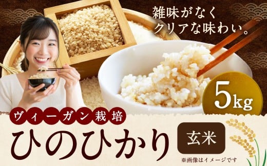 自然栽培 ひのひかり 玄米 5kg 【2025年10月下旬より発送予定】 米 お米 ご飯  うきは市