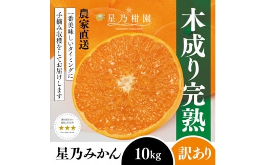 ＜訳あり＞星乃みかん園の星乃みかん(10kg)＜E45-64＞【1339361】 1338227 - 愛媛県八幡浜市