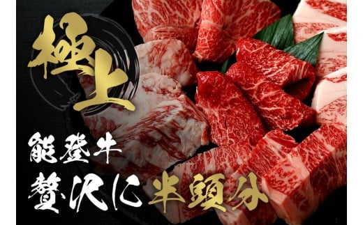 能登牛 半頭買い 12分割配送 牛肉 冷凍 肉 希少 和牛 とろける 柔らか 口当たり お肉 ブランド牛 黒毛和牛 高品質 やきにく 焼き肉 すき焼き 炒め物 牛丼 BBQ 煮込み カレー 肉じゃが お祝い ふるさと納税 石川 能登 羽咋 能登半島 災害支援 復興 支援