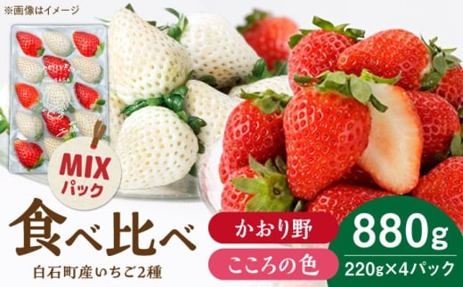 【R8年1月以降発送】こころの色×かおり野ミックス 紅白いちごセット 計880g（220g×4パック） 【Strawberryfarm-K】  紅白いちご 希少 いちご 果物 フルーツ かおり野 セット [IBJ029] [IBJ029]