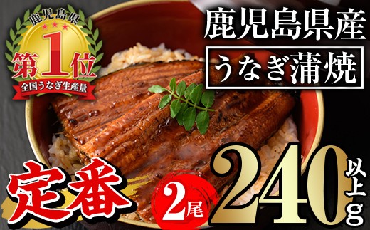 無投薬!鹿児島県産うなぎ蒲焼セット<定番>(計240g以上・ 約120g×2尾) タレ・山椒付き 鰻 ウナギ 国産【西日本養鰻】A730 2037259 - 鹿児島県曽於市