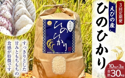 《令和7年産先行予約》【2025年12月発送】【3回定期便】米 ひのひかり 10kg 九州 霧島 えびの産 ヒノヒカリ 発送直前に精米 農家 直送 お米 おこめ こめ コメ 白米 ふるさと納税 10キロ 九州産 宮崎県産  宮崎県 送料無料