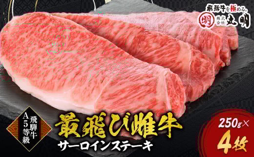 ＜最飛び雌牛＞飛騨牛A5等級サーロインステーキ　250g×4枚【1520146】