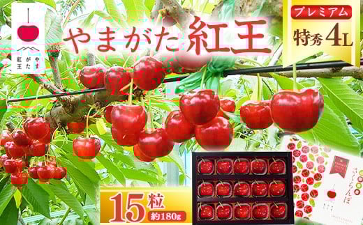 【先行予約】 さくらんぼ 「やまがた紅王 プレミアム」4L 特秀品 15粒(約180g)化粧箱 2026年産 令和8年産 山形県産 【2026年6月中旬頃~下旬頃発送予定】 ※配送不可 沖縄・離島 080-A-SW005