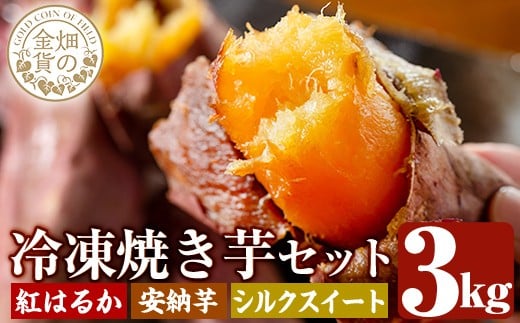 a0001-3S3 冷凍焼き芋！畑の金貨・やきいも3種セット(紅はるか1kg・安納芋1kg・シルクスイート1kg)【甘いも販売所】姶良市 焼き芋 訳あり 冷凍 焼芋 やきいも さつまいも さつま芋 熟成 蜜