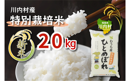 【ふるさと納税】令和7年度 かわうち産 特別栽培米 ひとめぼれ 20kg
