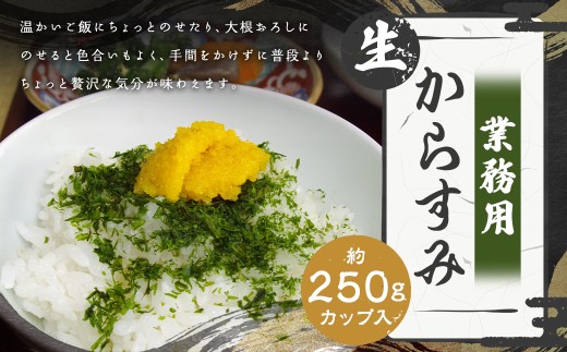 [発祥の味] 生からすみ 業務用 250g カップ入り からすみ カラスミ 魚卵 つまみ 鰡 ボラ ぼら 珍味 九州 長崎県 長崎市 冷蔵