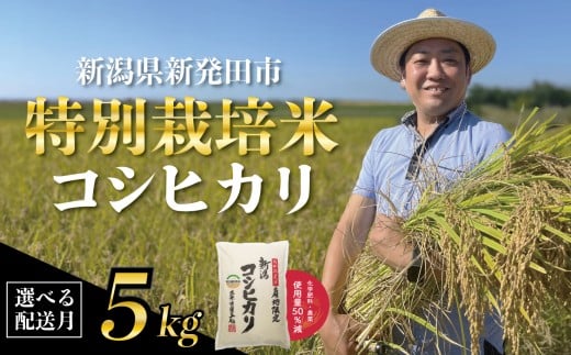 【先行予約】 新潟県産 特別栽培米 コシヒカリ 5kg 選べる 配送月 令和7年産 こしひかり 特栽米 米 新米 月岡 温泉 お米 こめ ご飯 ごはん おいしい 新潟米 新潟 新潟県 米 新発田産 新潟産 朝食 昼食 夕飯 炊きたて 精米 watasho004P