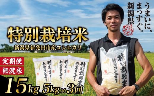 【定期便】コシヒカリ 無洗米 5kg 3ヵ月 15kg 令和7年産 特別栽培米 こしひかり 米 お米 こめ 新潟米 新潟県産 新潟産 新潟 新潟県 新発田産 新発田 新発田市 斗伸 toushin041