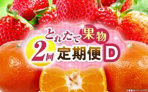 とれたて果物 2回定期便D 果物 フルーツ 果物定期便 フルーツ定期便 定期便 いちご みかん 濃厚 旬の果物 定期 人気 おすすめ 贈答 贈り物 青果物 糖度 香川県 _mk165-t054