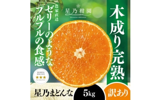 <三つ星ブランド>星乃みかん園の星乃まどんな(5kg)<訳あり><D45-62>【1339328】 983962 - 愛媛県八幡浜市
