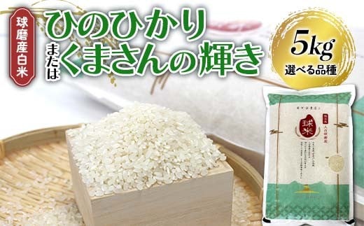 ＼選べる品種/ [令和7年度産]球磨産白米 5kg (ひのひかり or くまさんの輝き)新米 白米 精米 ふっくら 国産米 おすすめ 農家
