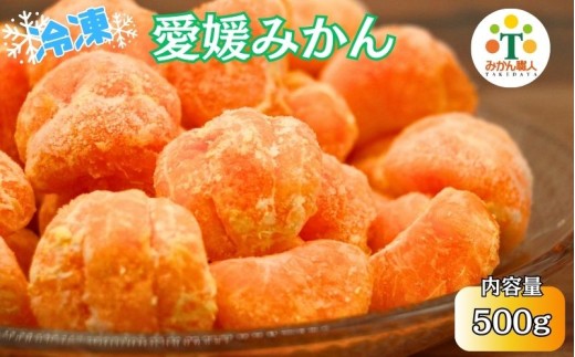 冷凍愛媛みかん 500g×1袋 冷凍みかん みかん ミカン 愛媛みかん 蜜柑 柑橘 かんきつ 冷凍ミカン 冷凍柑橘 アイス スムージー シャーベット みかん職人武田屋 愛媛県 愛南町